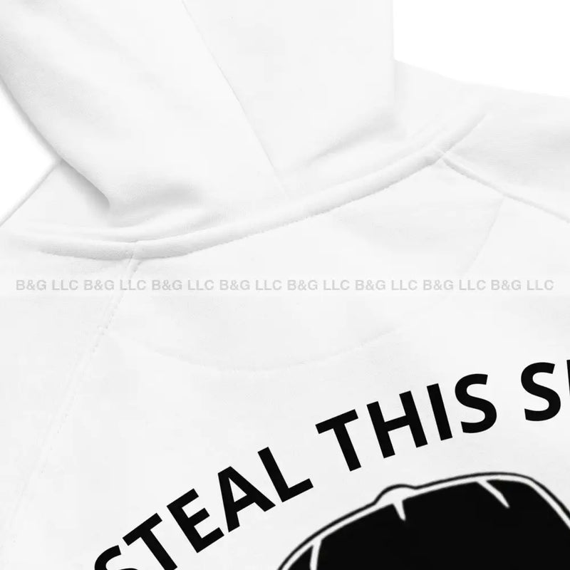Steal This Sign Michigan Vs Everybody Unisex eco raglan hoodie
