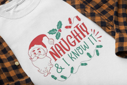 Naughty and I Know It T Shirt